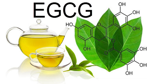 EGCG (Epigallokatekingallat)