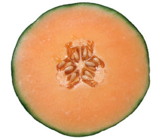 cantaloupe